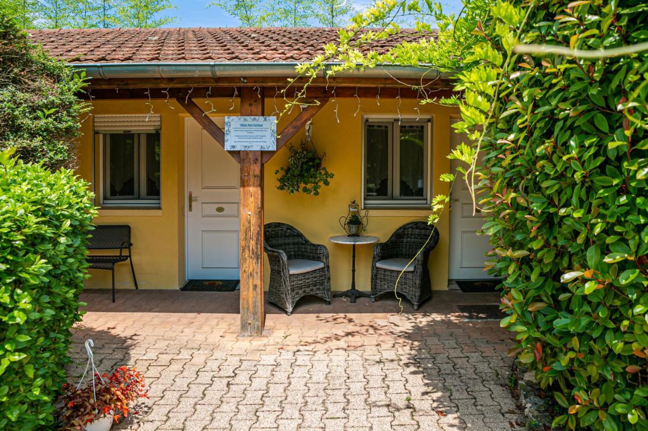 Hotel Des Dauphins Bourgoin-Jallieu Zewnętrze zdjęcie