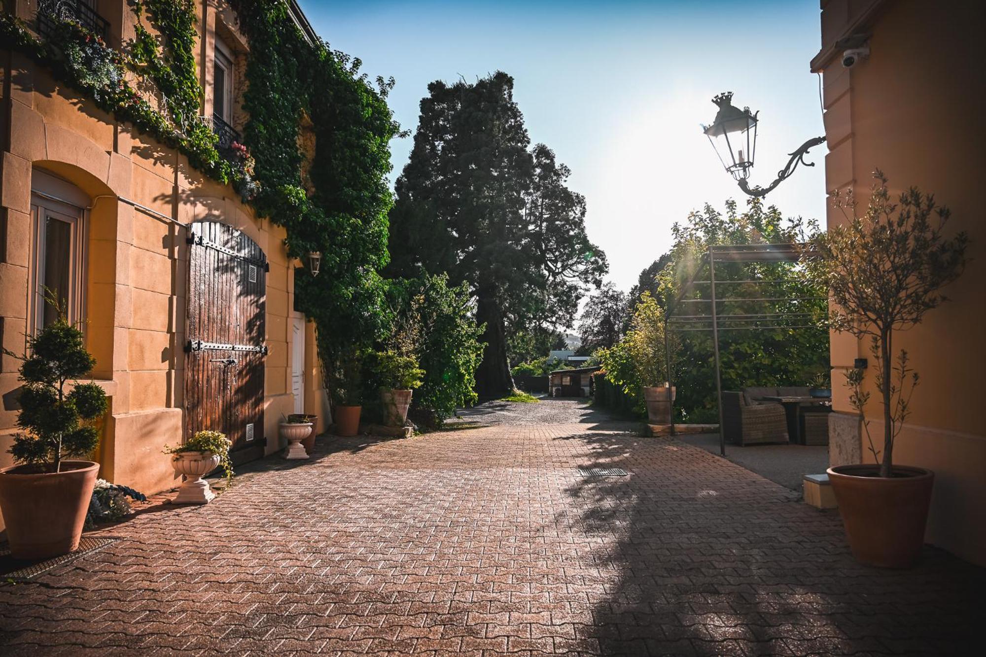 Hotel Des Dauphins Bourgoin-Jallieu Zewnętrze zdjęcie